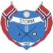 logo Storm Skien