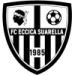 logo Eccica Suarella