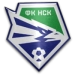 logo Novosibirsk