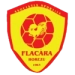 logo Flacara Horezu