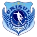 logo Crisul