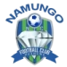 logo Namungo FC