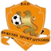logo BS Dynamik