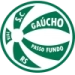 logo Gaúcho