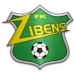 logo Zibens/Zemessardze