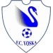 logo Voska Sport