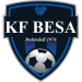 logo Besa Dobërdoll