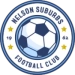 logo Nelson Suburbs