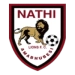 logo Nathi Lions