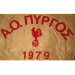 logo Pyrgos 79