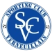 logo Verneuil-sur-Vienne
