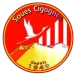 logo Soues Cigognes