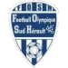 logo Sud Hérault