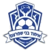 logo Ihud Bnei Shefa-'Amr