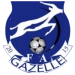 logo Gazelle FA