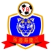 logo Yanbian Longding
