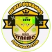 logo Dedza Dynamos