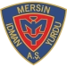 logo Yeni Mersin Idmanyurdu