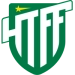 logo Hammarby TFF