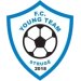 logo Young Team