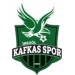 logo Inegöl Kafkas