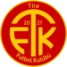 logo Tire 2021