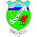 logo Pontardawe Town