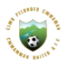 logo Cwmamman United