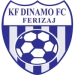 logo Dinamo Ferizaj