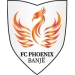 logo Phoenix Banjë