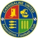 logo Carrigaline United