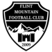 logo Flint Mountain