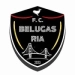 logo Bélugas Ria