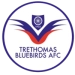 logo Trethomas Bluebirds