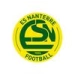 logo Nanterre ES