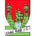 logo Cork Hibernians