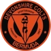 logo Devonshire Colts