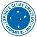 logo Cruzeiro Arapiraca