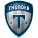 logo Minnesota Thunder