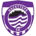 logo Hacettepe