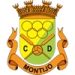 logo CD Montijo