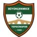 logo Büyükçekmece Tepecikspor