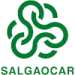 logo Salgaocar Goa