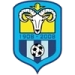 logo Farsley Celtic