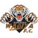 logo Wagiya
