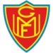 logo Fjölnir