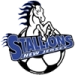 logo New Jersey Stallions