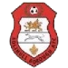 logo Solihull Borough