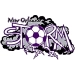 logo New Orleans Storm