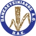 logo Panelefsiniakos